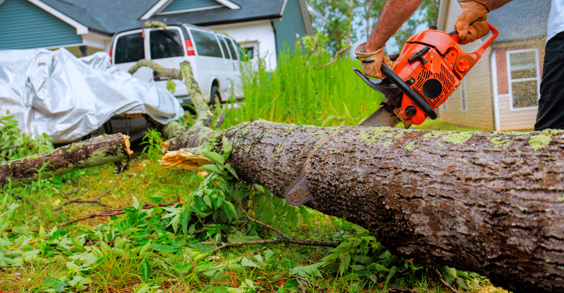 chainsaw cutting a tree log