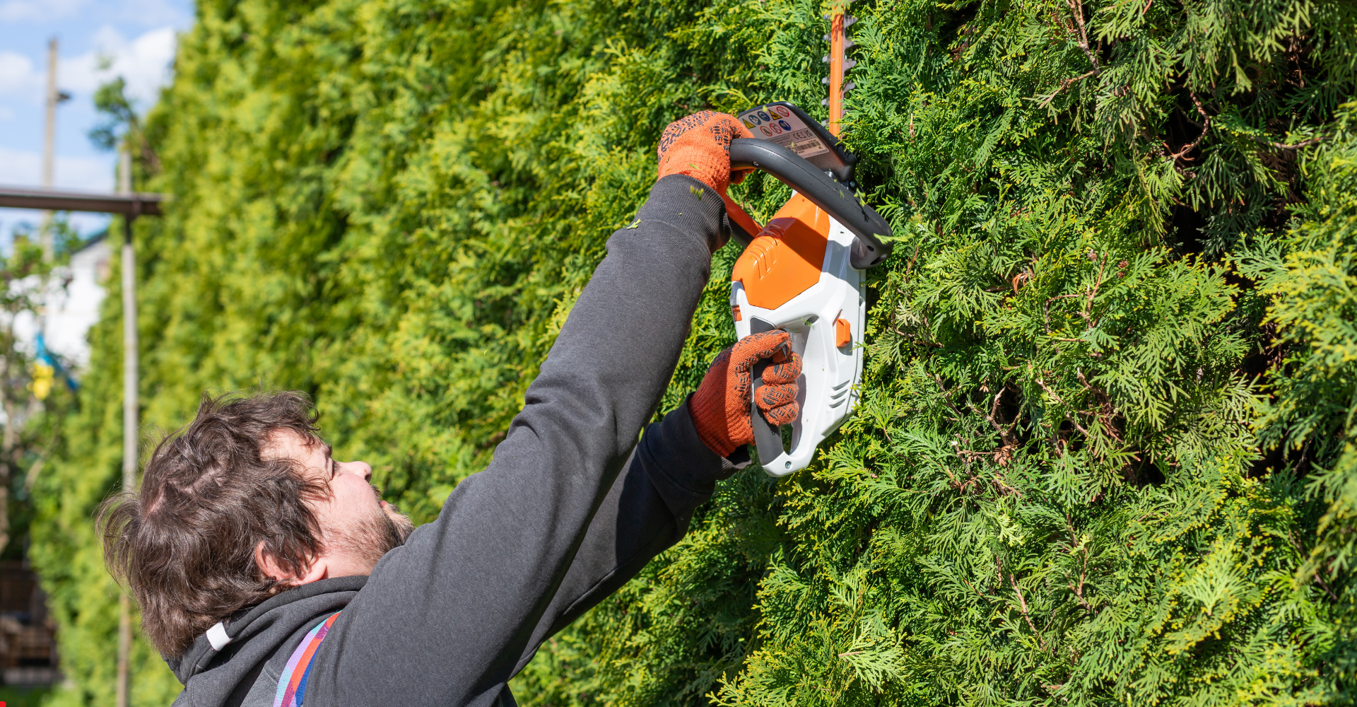 man using a hedge cutter